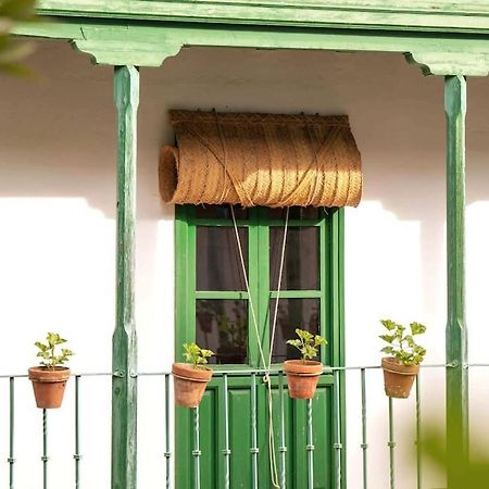 Apartamento A Estrenar En Calle Alcazares Sevilha Exterior foto